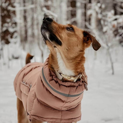 Waterproof And Windproof Warm Vest - The Ultimate In Winter Warmth And Style - ECOVIRA