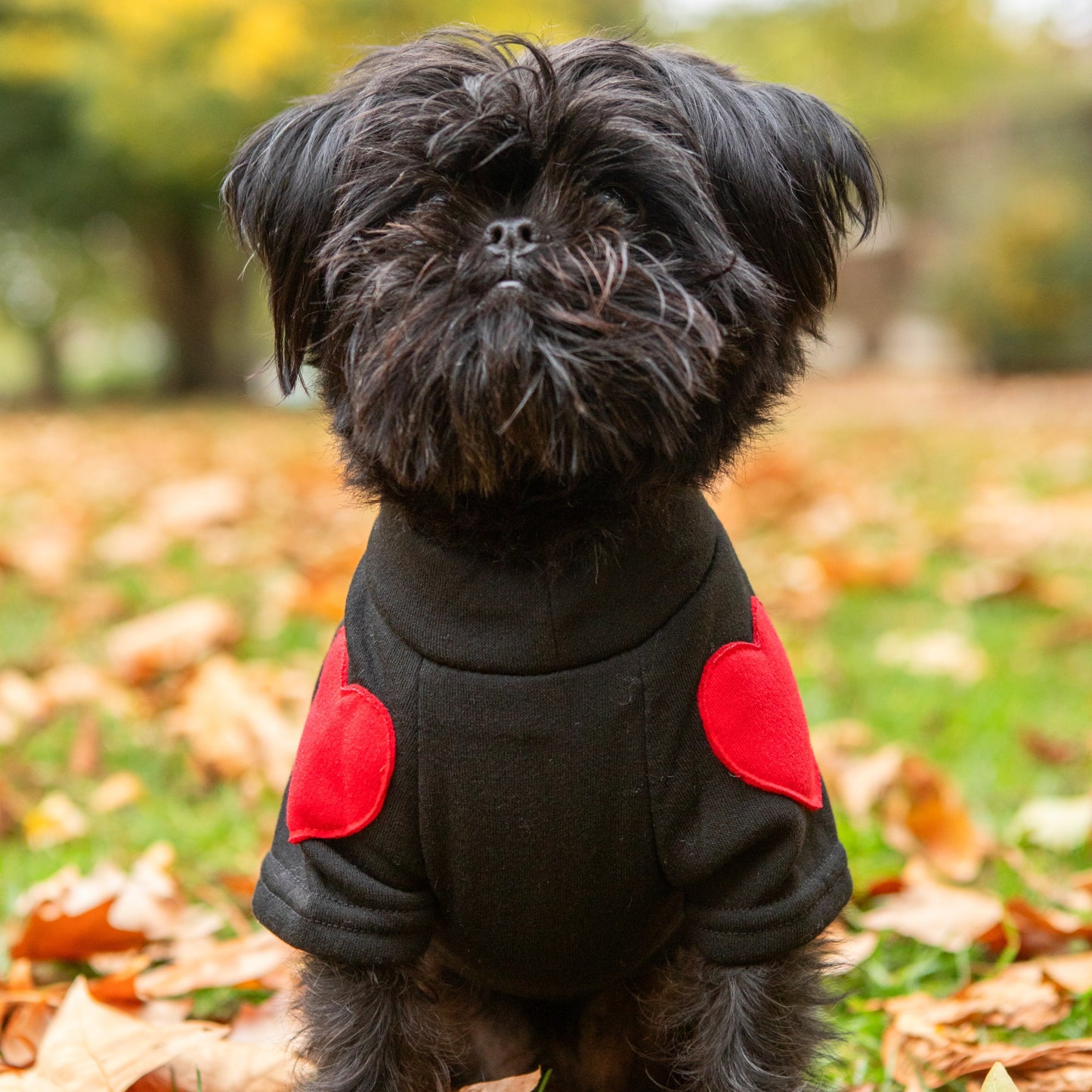 Love Heart Dog Sweater - ECOVIRA