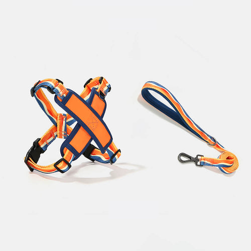 X-Shaped No-Choke Dog Harness – Adjustable, Durable (S–L) - ECOVIRA