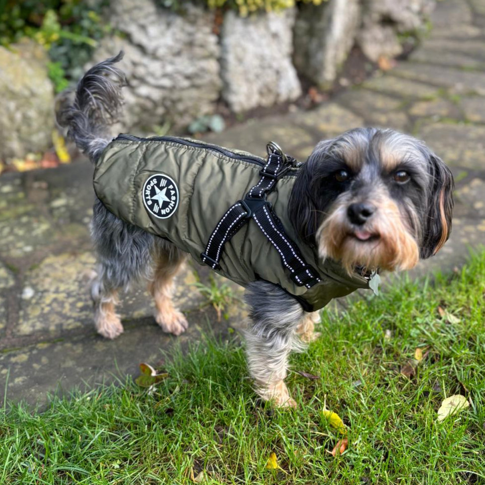 Waterproof  Padded Dog Coat - ECOVIRA