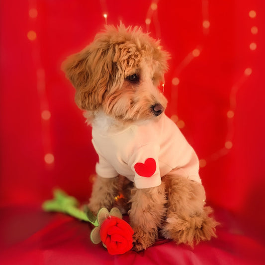 Love Heart Dog Sweater - ECOVIRA