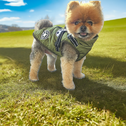 Waterproof  Padded Dog Coat - ECOVIRA